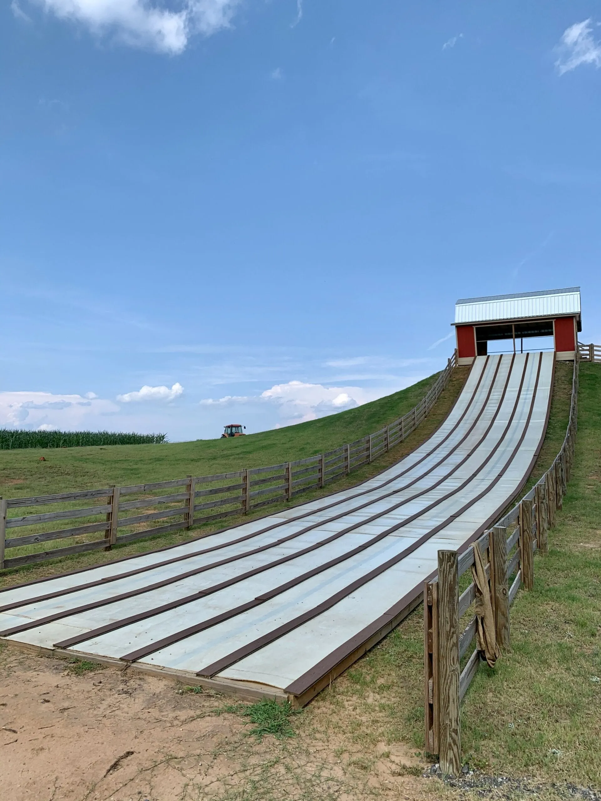 Families at Southern Belle Farm